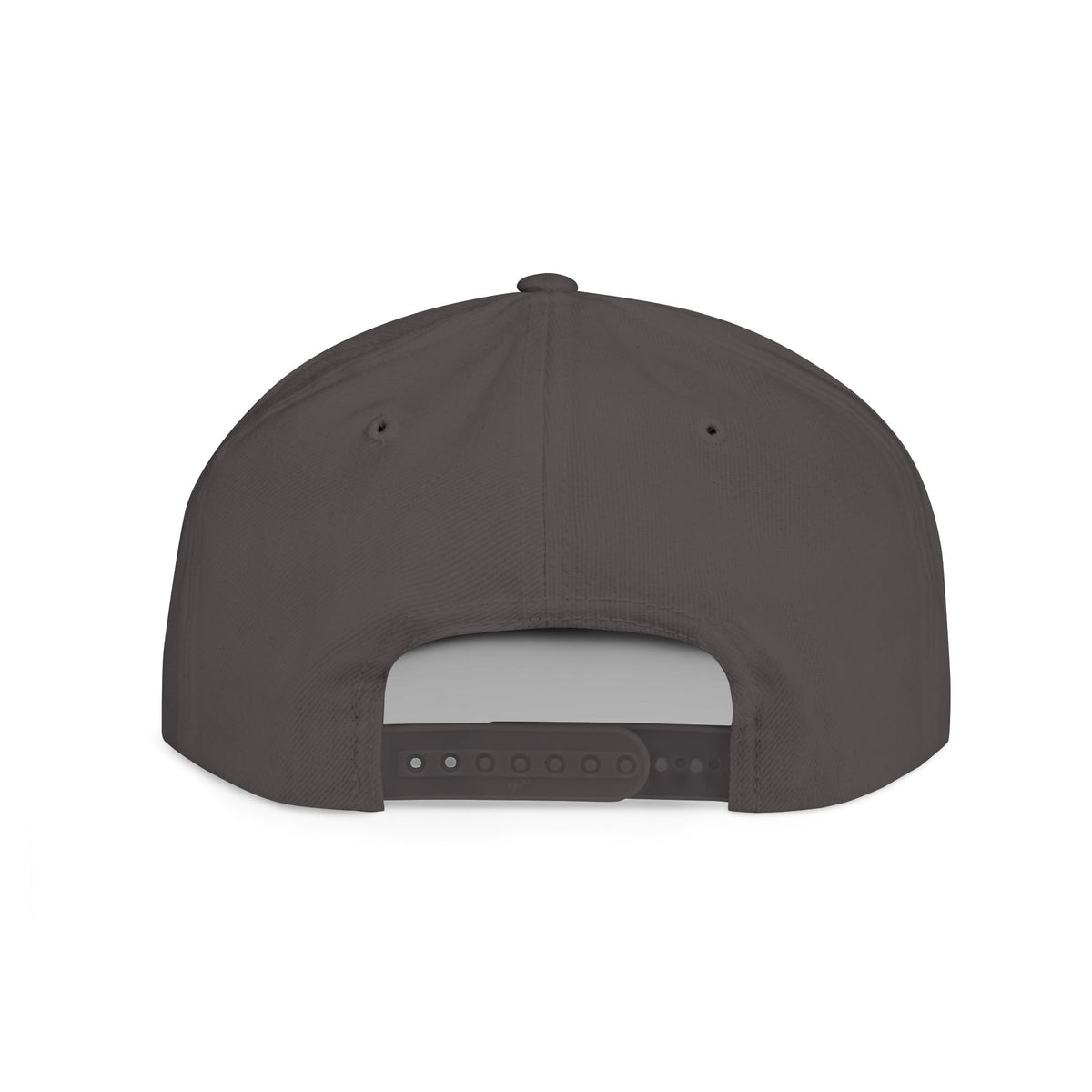 Mudderswag 'Ice Cold' Snapback